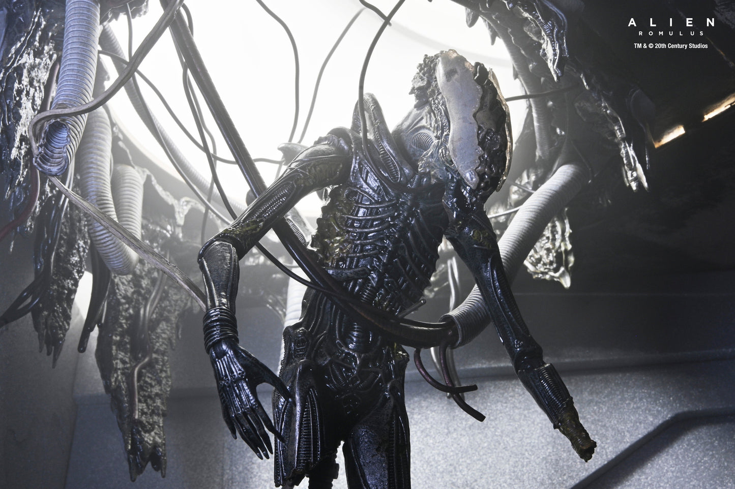DELUXE SUSPENDED LAB XENOMORPH XX121 SCALE ACTION FIGURA 18 CM ALIEN ROMULUS