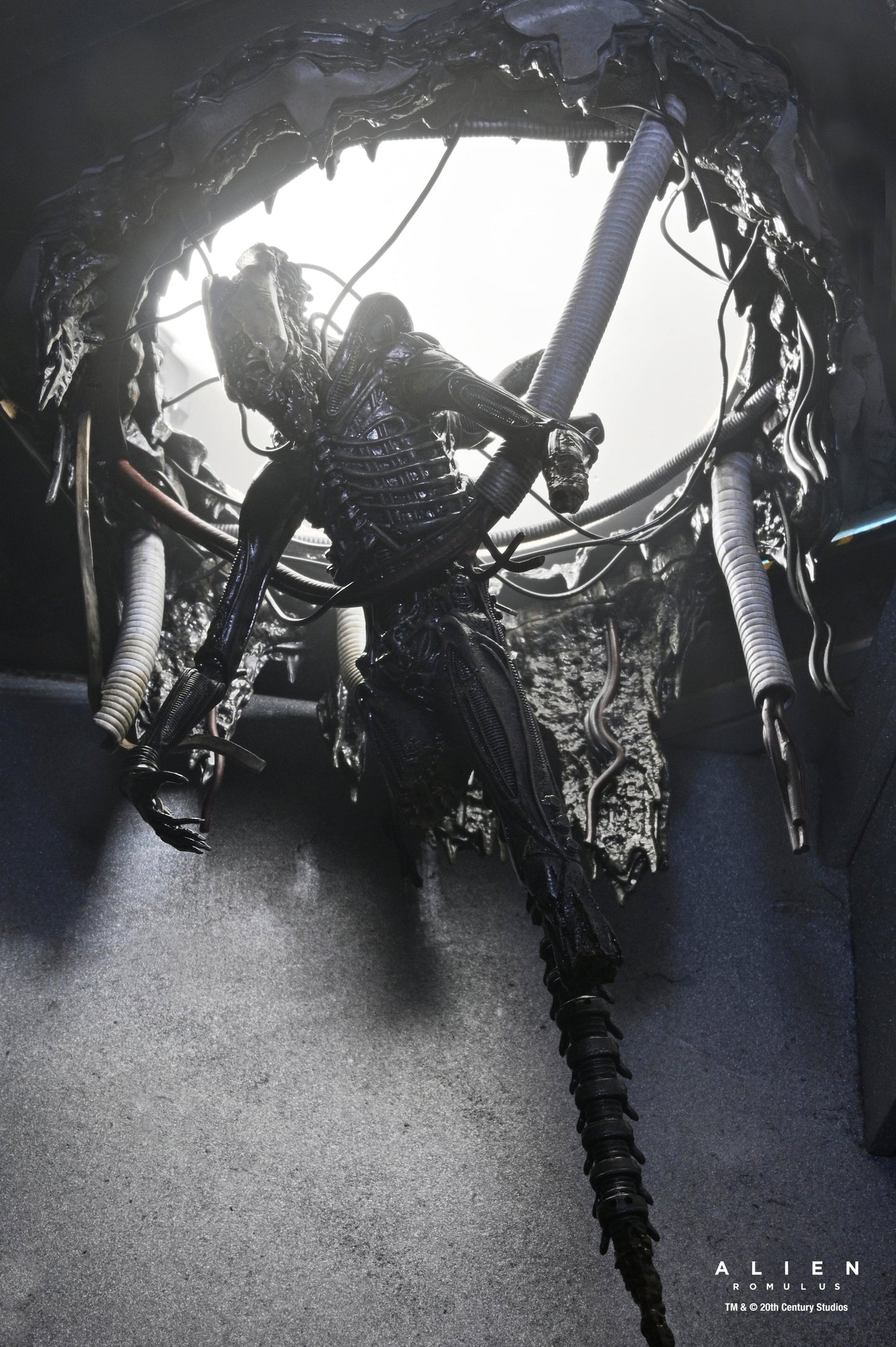 DELUXE SUSPENDED LAB XENOMORPH XX121 SCALE ACTION FIGURA 18 CM ALIEN ROMULUS