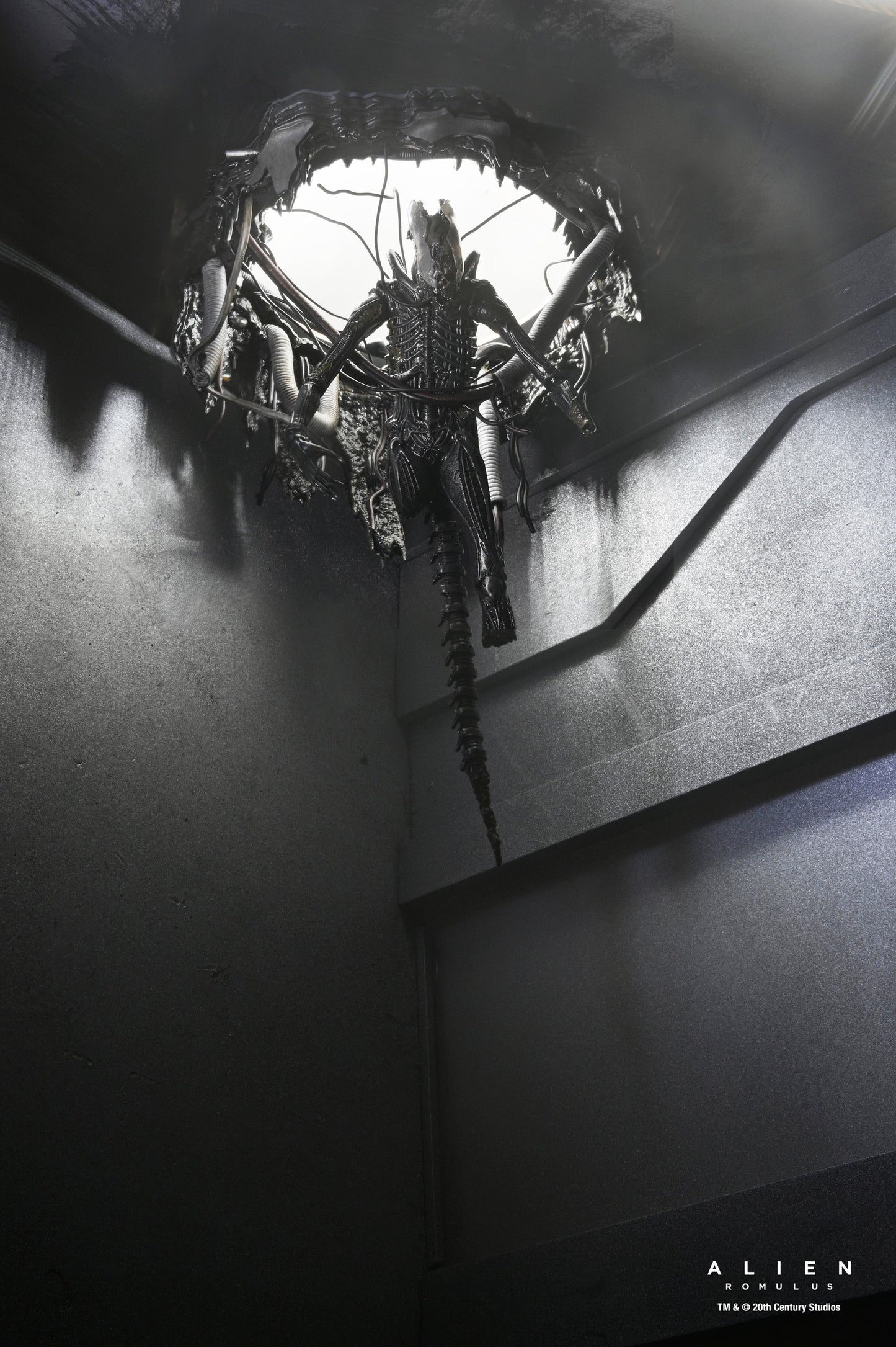 DELUXE SUSPENDED LAB XENOMORPH XX121 SCALE ACTION FIGURA 18 CM ALIEN ROMULUS
