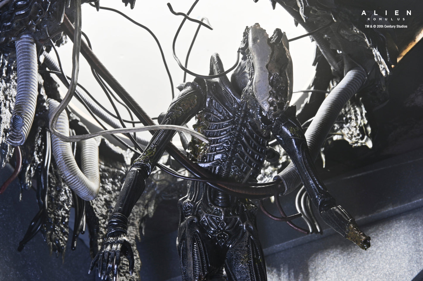 DELUXE SUSPENDED LAB XENOMORPH XX121 SCALE ACTION FIGURA 18 CM ALIEN ROMULUS