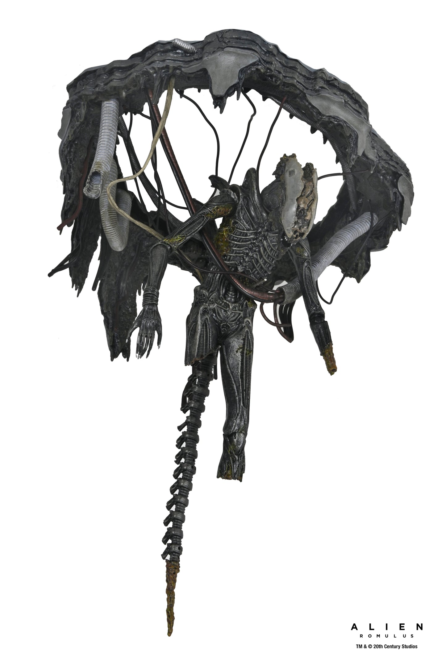 DELUXE SUSPENDED LAB XENOMORPH XX121 SCALE ACTION FIGURA 18 CM ALIEN ROMULUS
