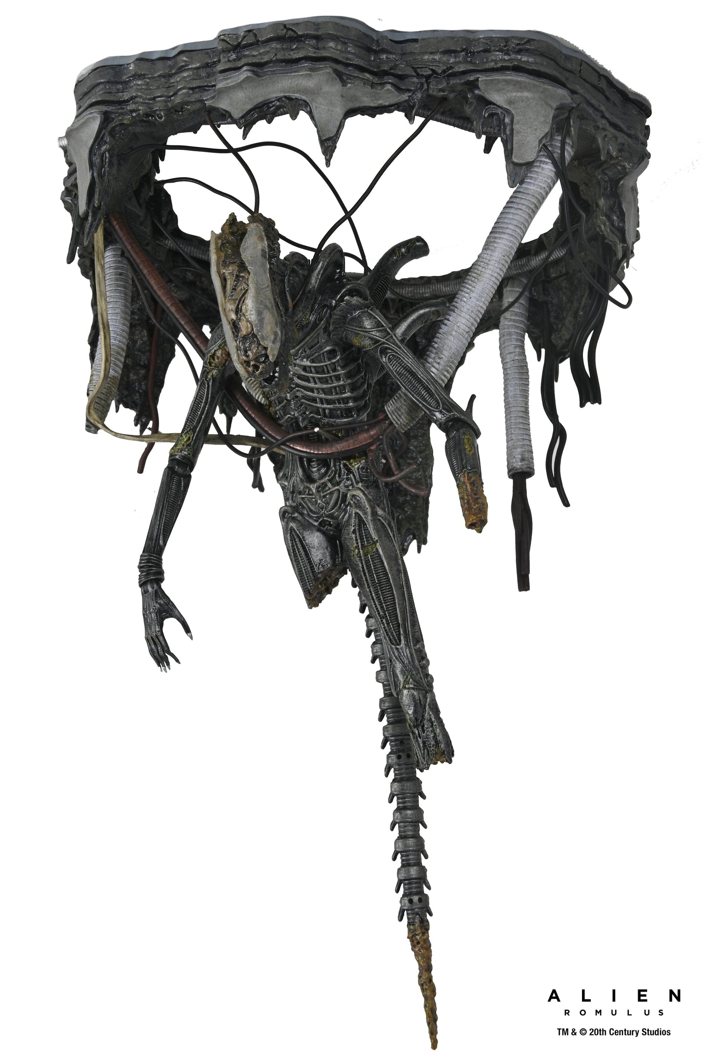 DELUXE SUSPENDED LAB XENOMORPH XX121 SCALE ACTION FIGURA 18 CM ALIEN ROMULUS