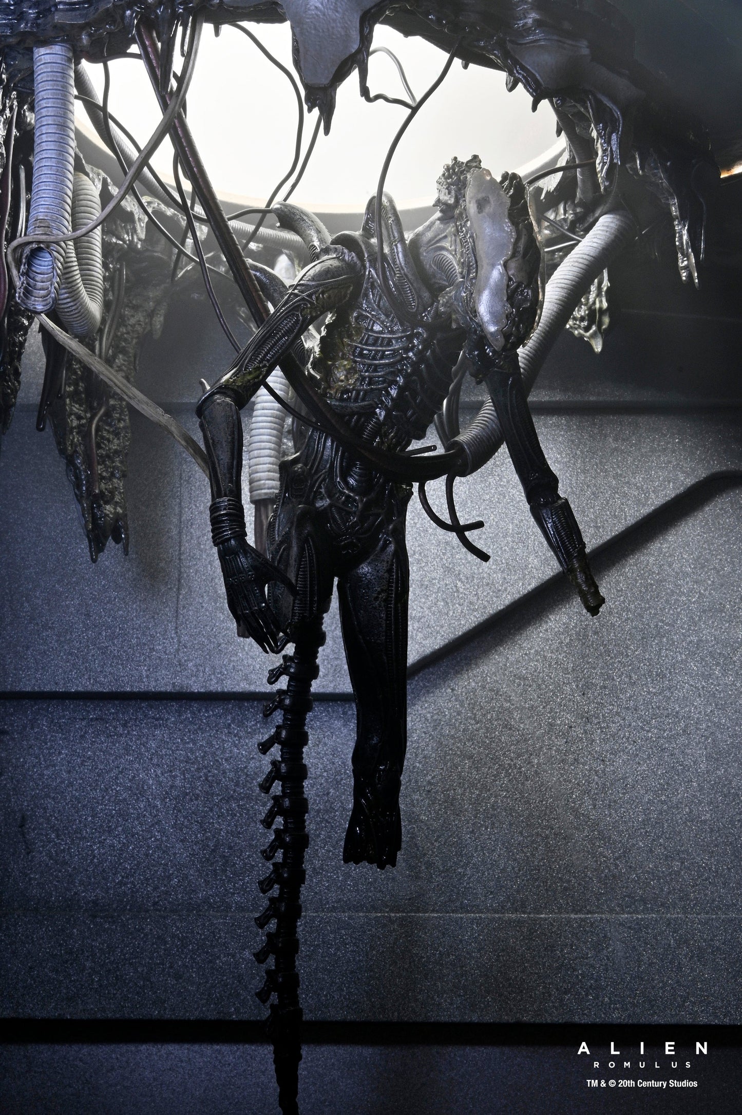 DELUXE SUSPENDED LAB XENOMORPH XX121 SCALE ACTION FIGURA 18 CM ALIEN ROMULUS