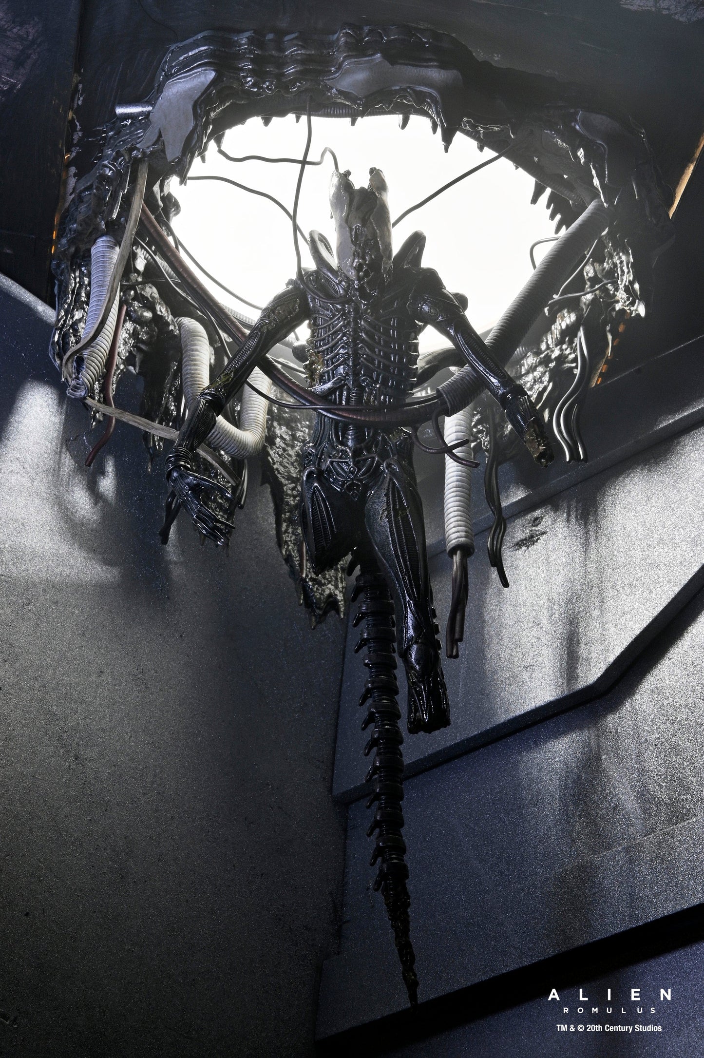 DELUXE SUSPENDED LAB XENOMORPH XX121 SCALE ACTION FIGURA 18 CM ALIEN ROMULUS