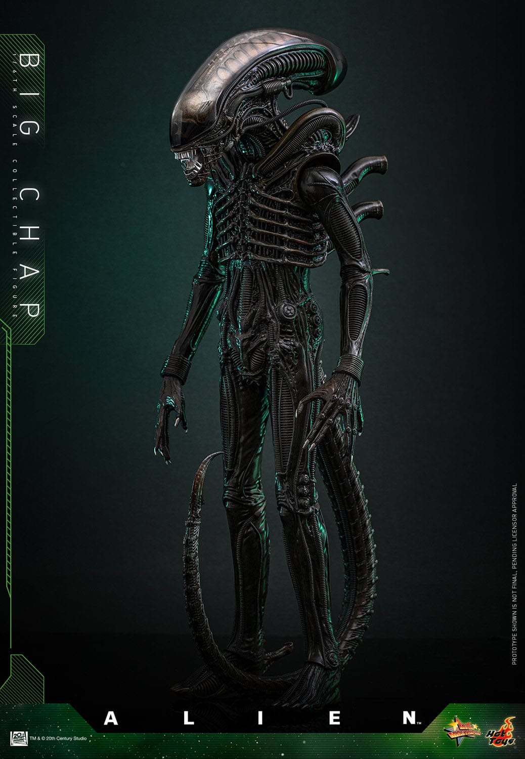 Hot Toys - Alien Movie Masterpiece - Big Chap