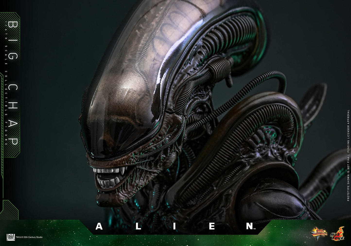 Hot Toys - Alien Movie Masterpiece - Big Chap