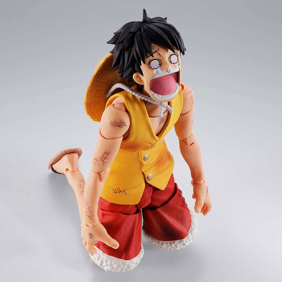 de ONE PIECE -