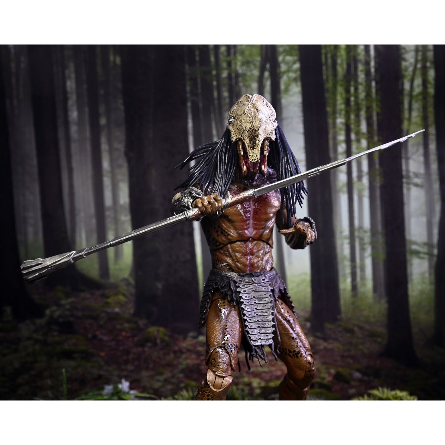 de PREDATOR -