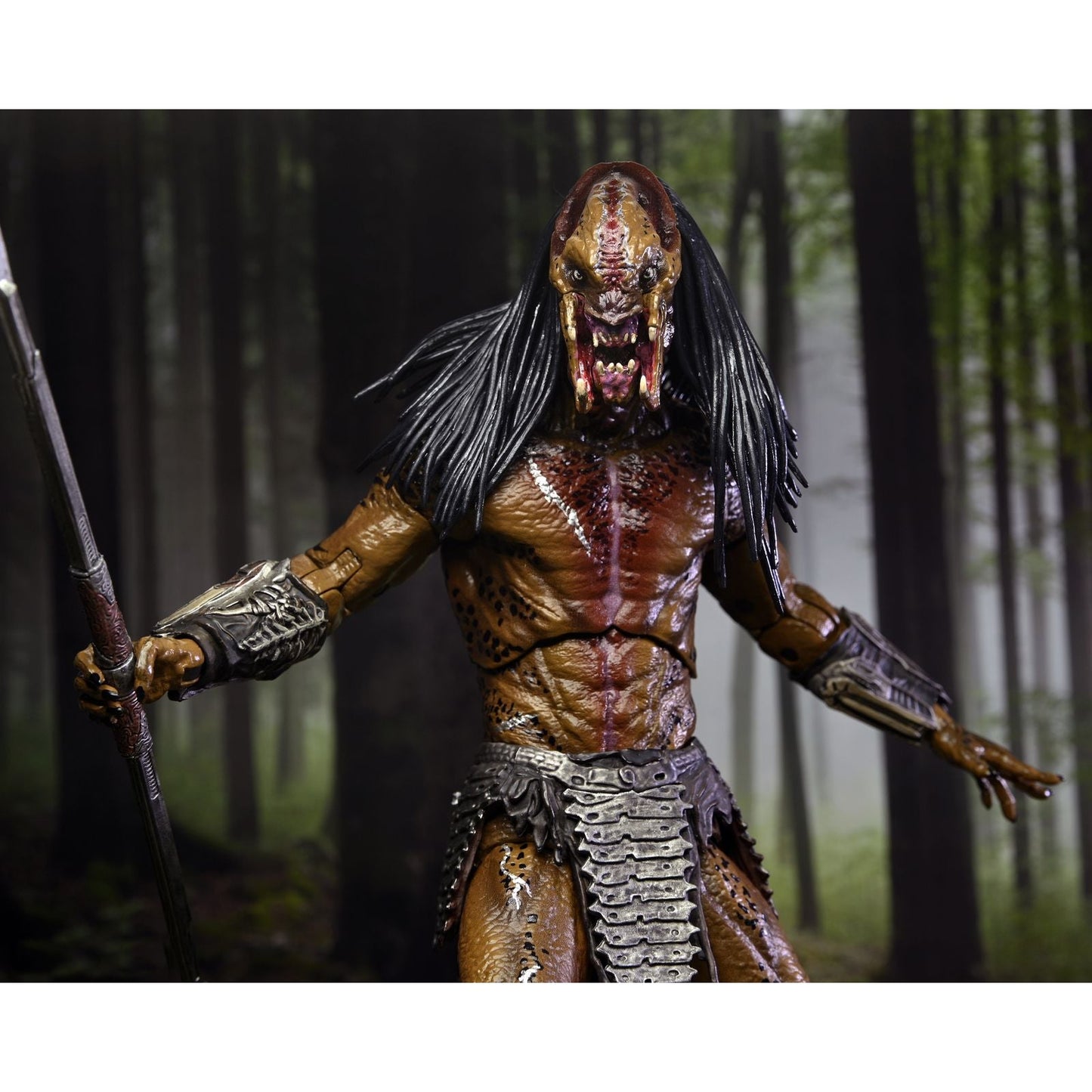 de PREDATOR -