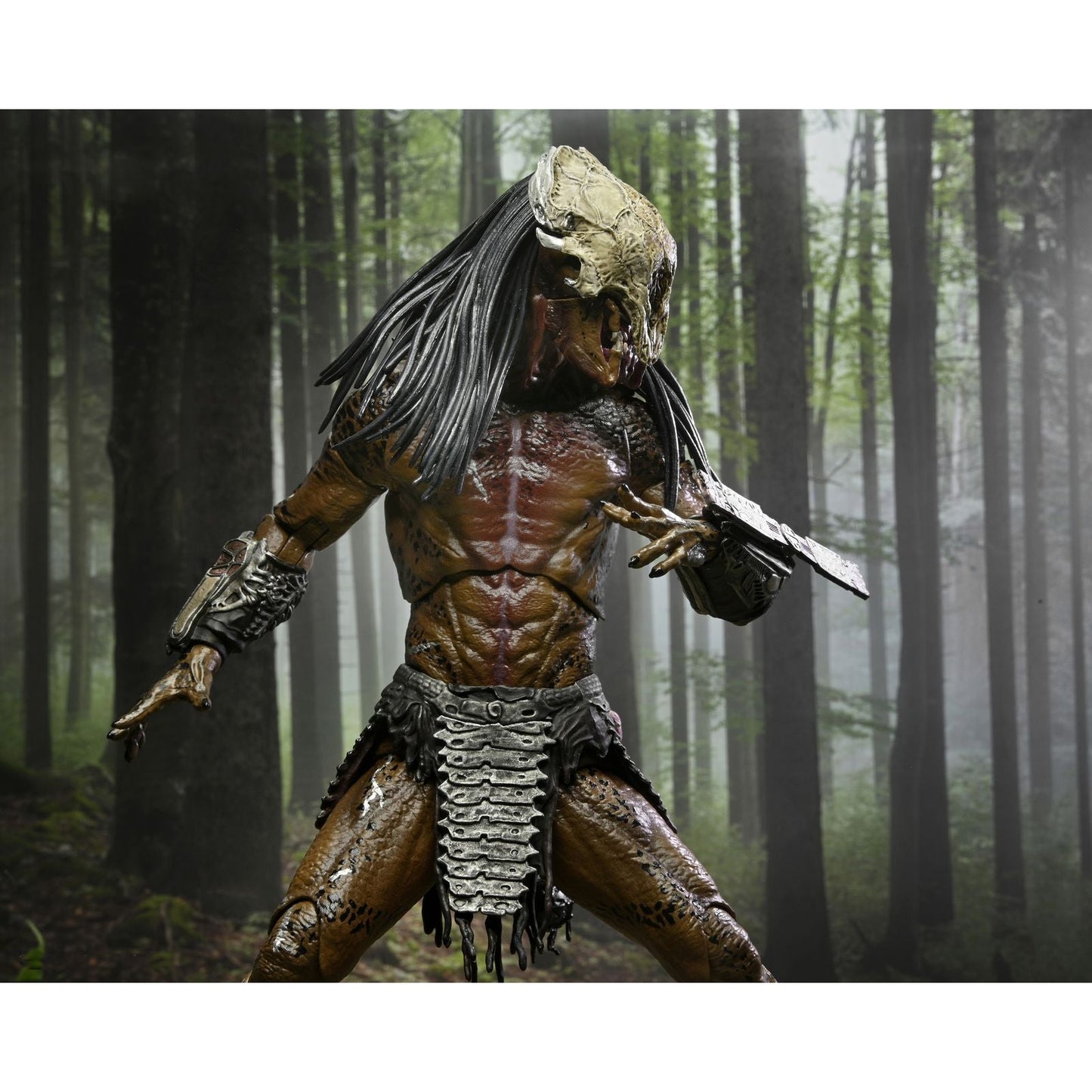 de PREDATOR -