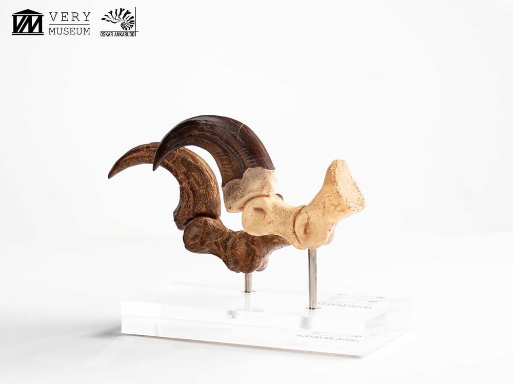 Jurassic Park ECC Elite Creature Line Estatua Velociraptor Foot Claw and Fossil Claw Set 20 cm