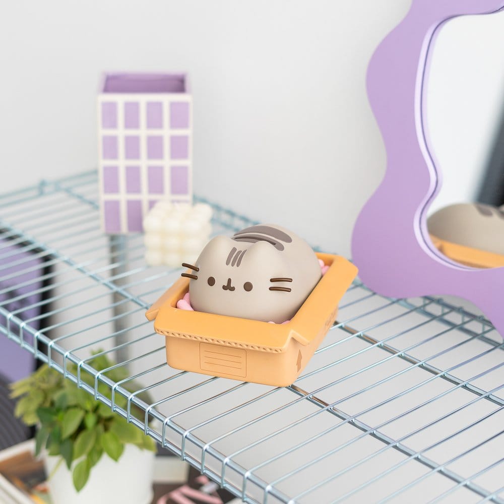 Pusheen Hucha