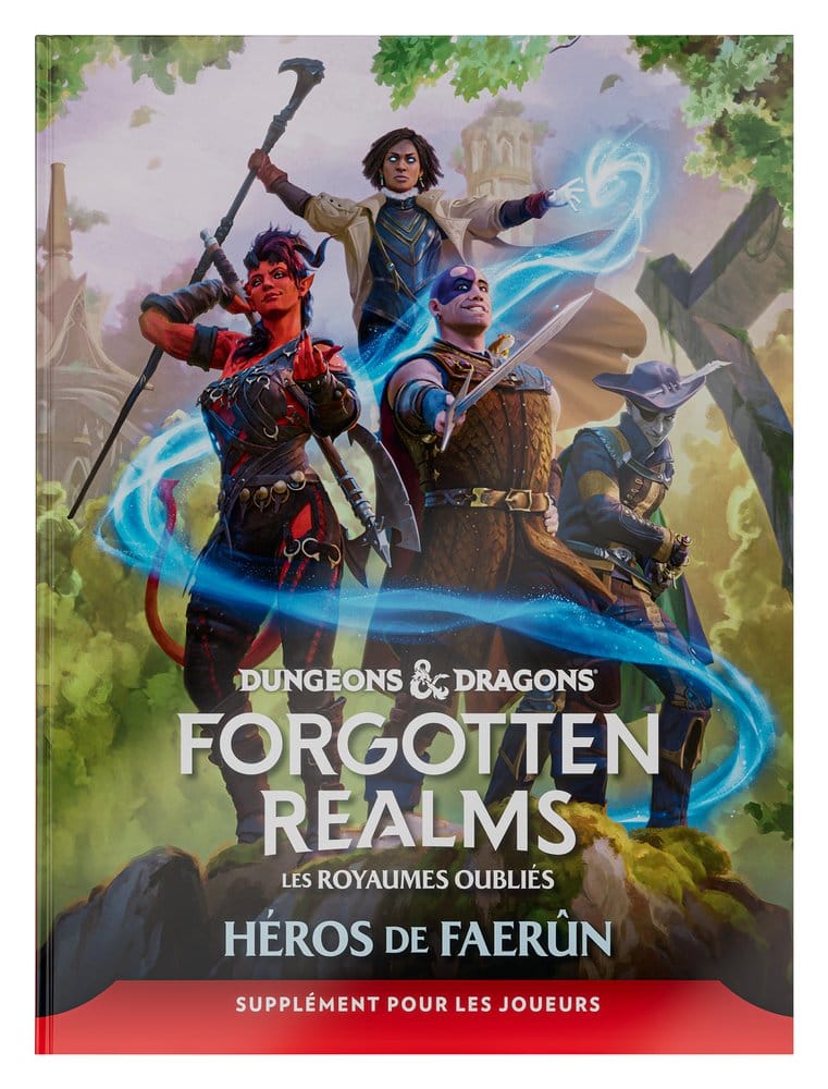 Dungeons & Dragons RPG Forgotten Realms: Héros de Faerun Guía para Jugadores *Edición Francés*