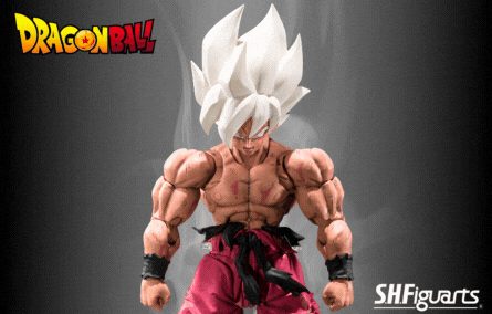 S.H. Figuarts Dragon Ball