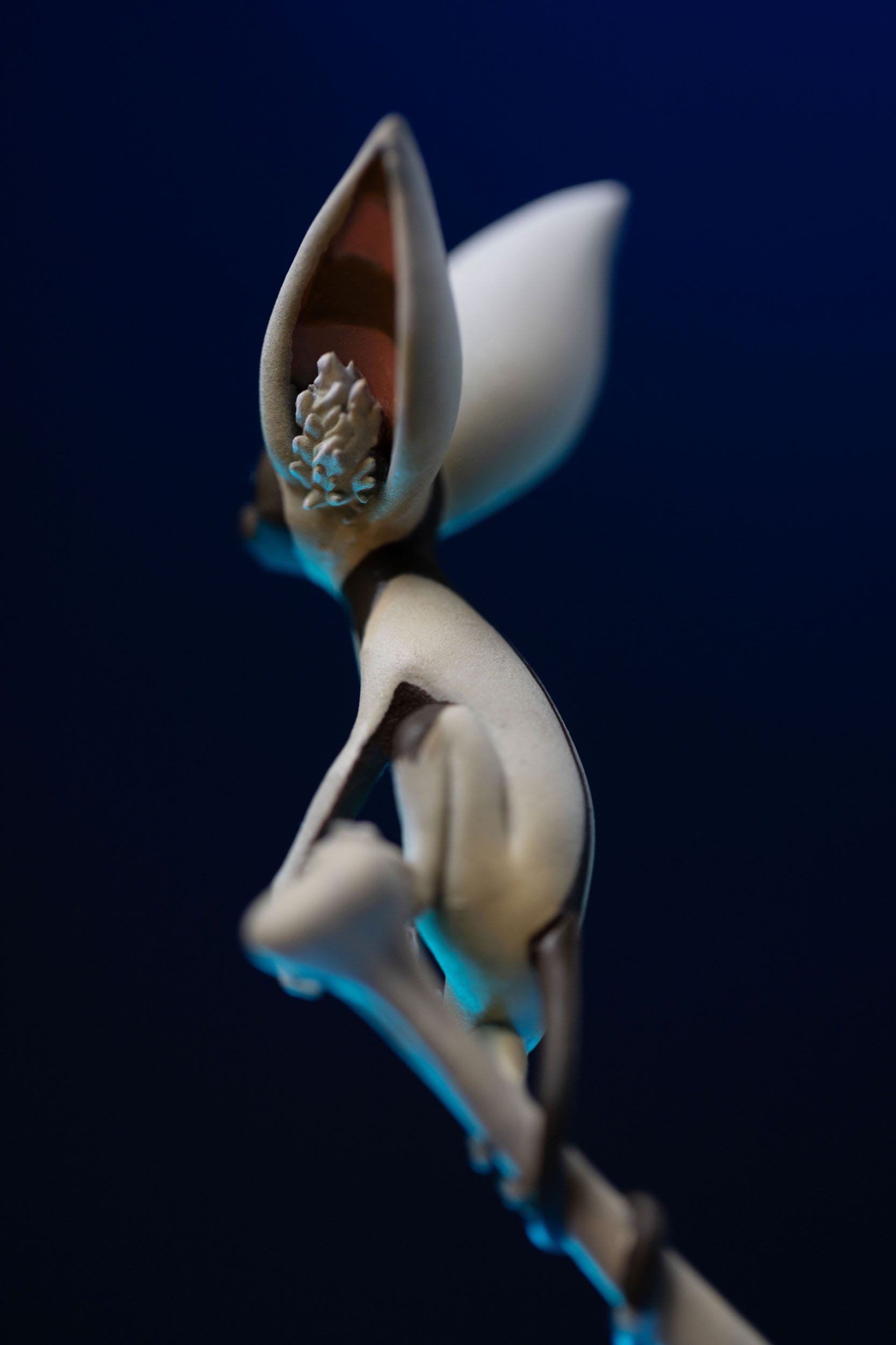 Figura de  de AVATAR: LA LEYENDA DE AANG
