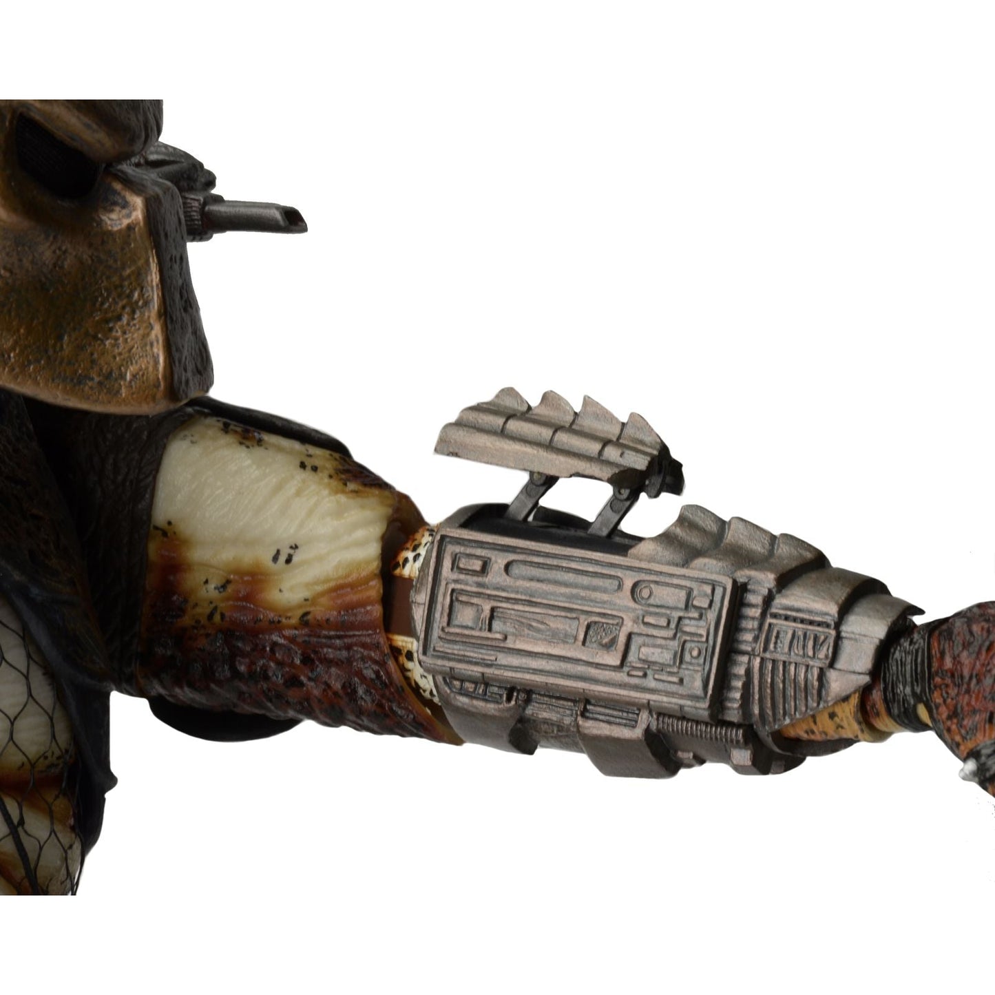  de PREDATOR - 