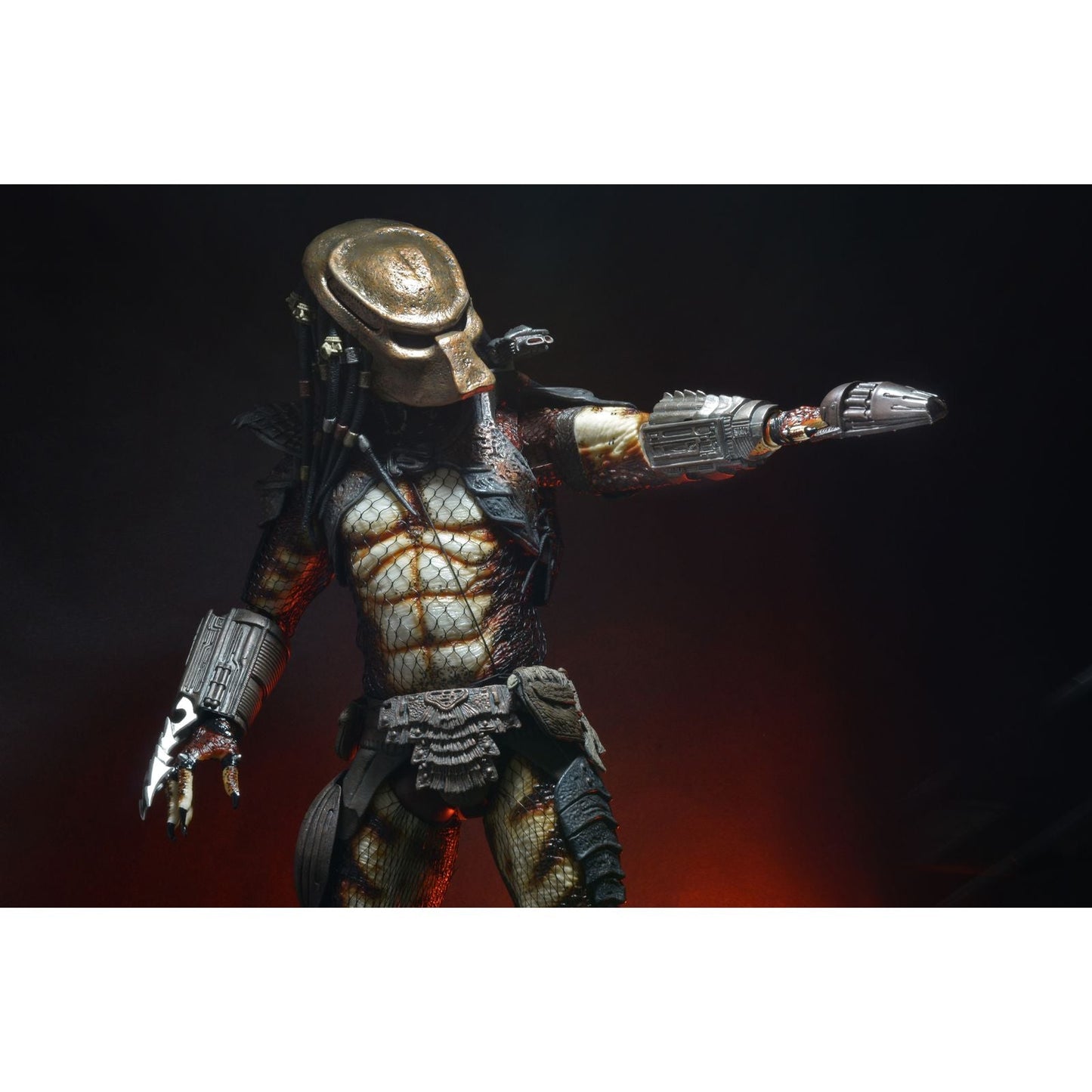  de PREDATOR - 