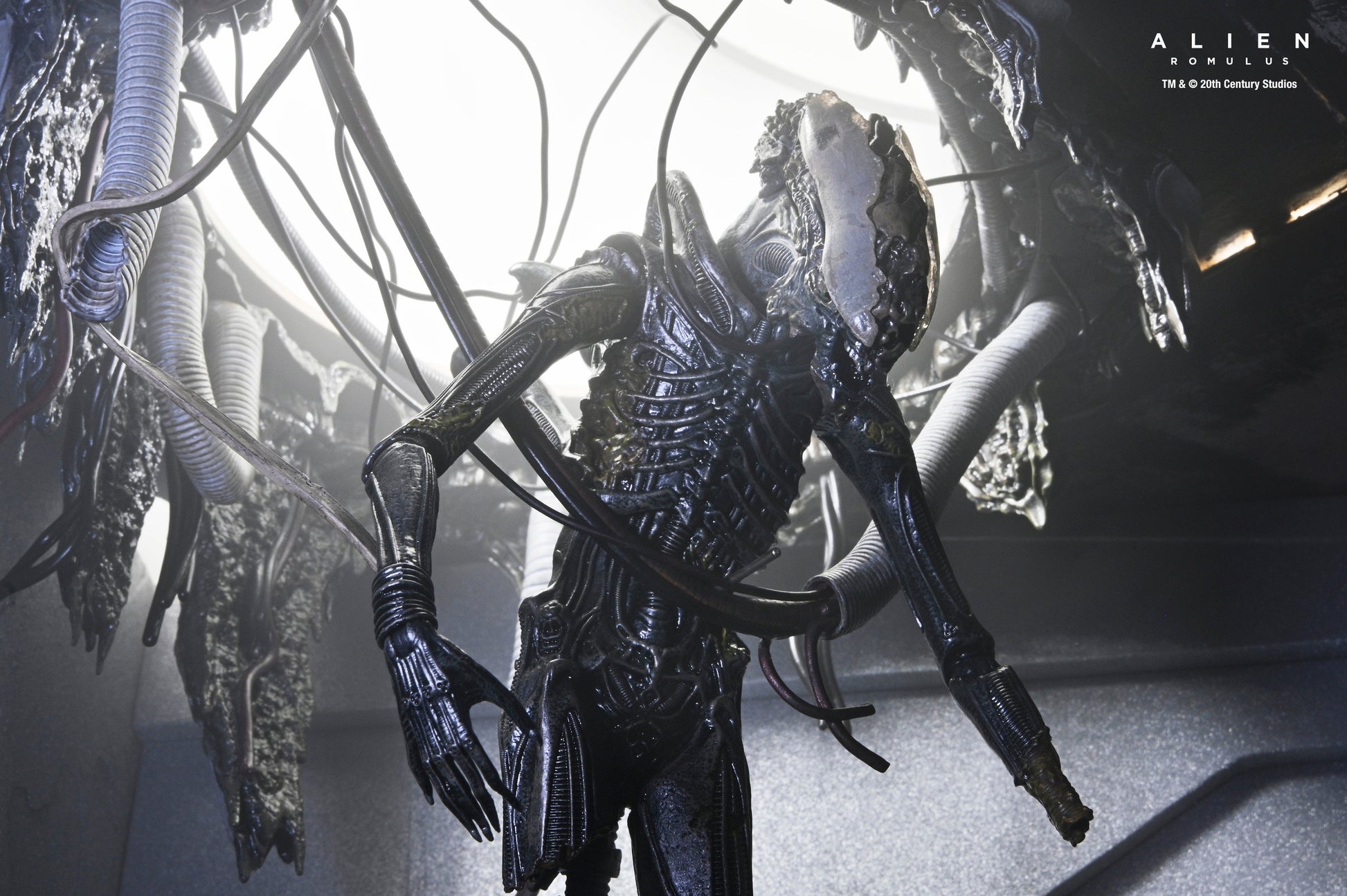 DELUXE SUSPENDED LAB XENOMORPH XX121 SCALE ACTION FIGURA 18 CM ALIEN ROMULUS