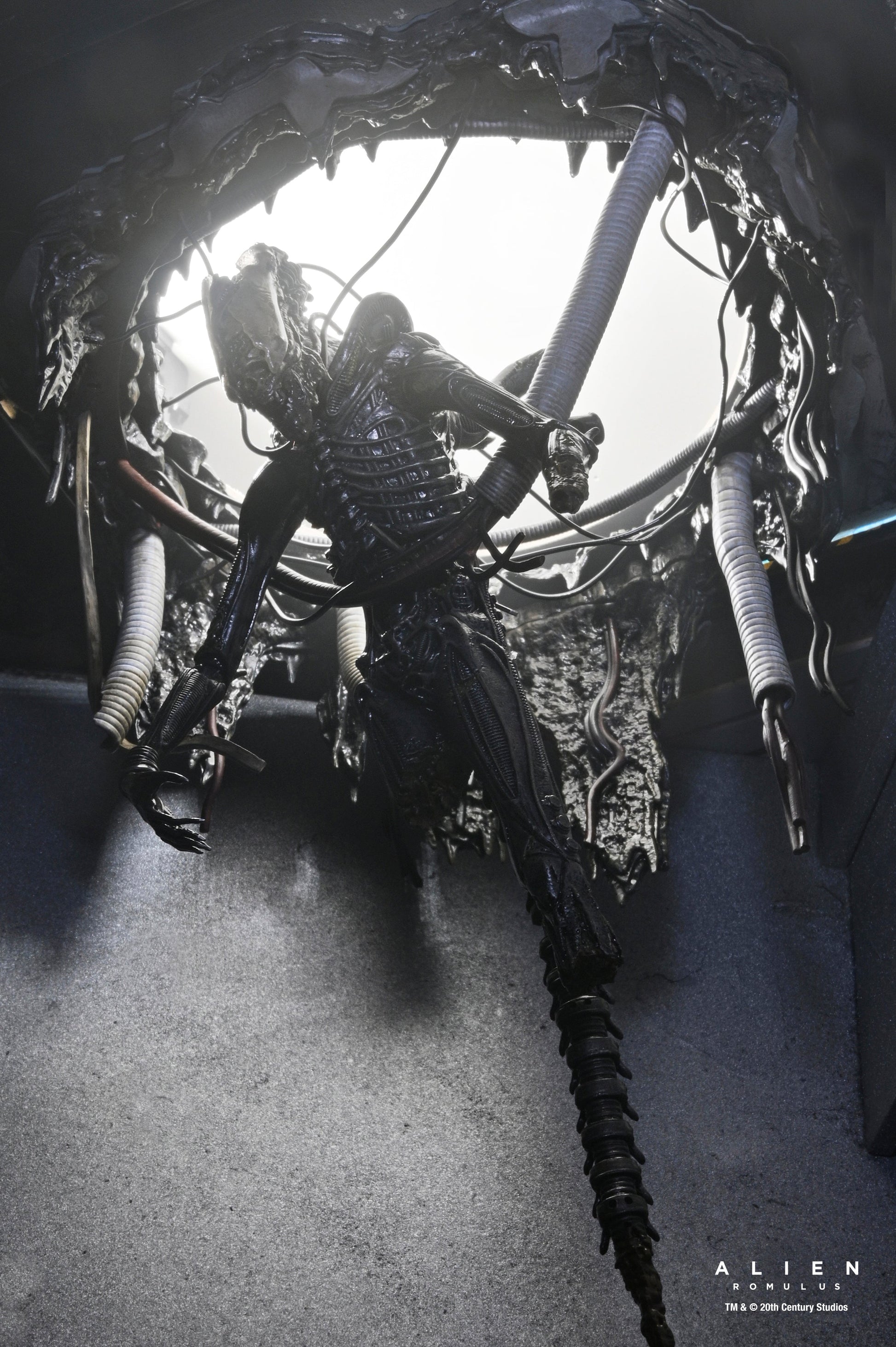 DELUXE SUSPENDED LAB XENOMORPH XX121 SCALE ACTION FIGURA 18 CM ALIEN ROMULUS