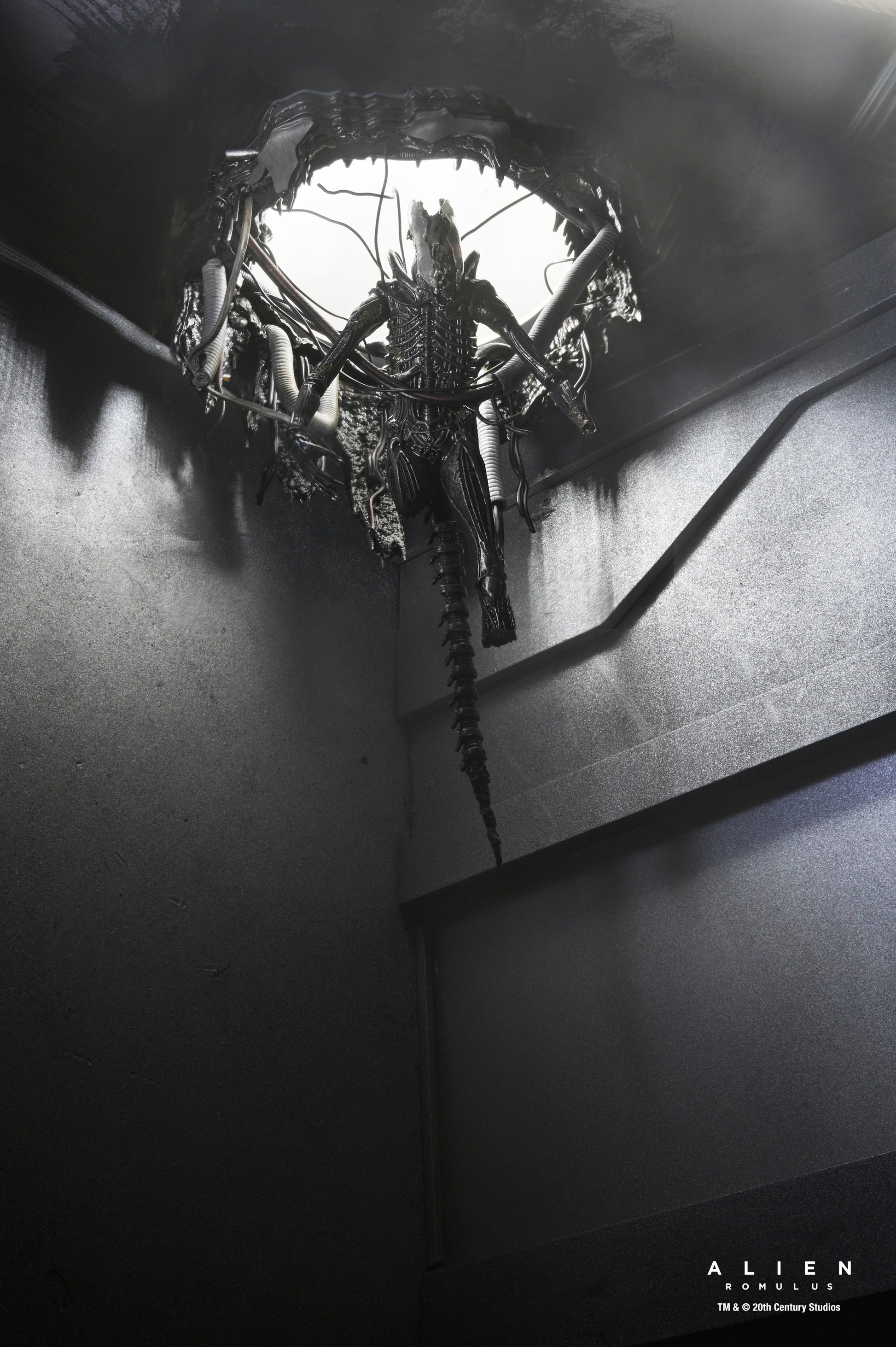 DELUXE SUSPENDED LAB XENOMORPH XX121 SCALE ACTION FIGURA 18 CM ALIEN ROMULUS