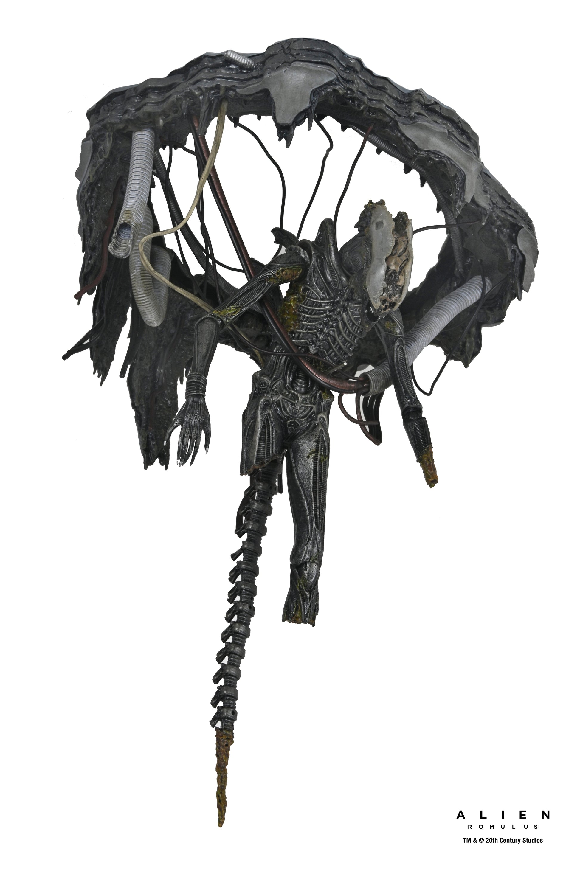 DELUXE SUSPENDED LAB XENOMORPH XX121 SCALE ACTION FIGURA 18 CM ALIEN ROMULUS