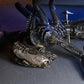 DELUXE SUSPENDED LAB XENOMORPH XX121 SCALE ACTION FIGURA 18 CM ALIEN ROMULUS