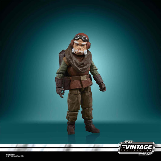 FIGURA HASBRO KUIIL 10 CM STAR WARS THE MANDALORIAN VINTAGE COLLECTION