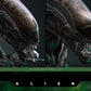 Hot Toys - Alien Movie Masterpiece - Big Chap