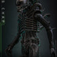 Hot Toys - Alien Movie Masterpiece - Big Chap