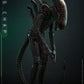 Hot Toys - Alien Movie Masterpiece - Big Chap