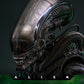 Hot Toys - Alien Movie Masterpiece - Big Chap
