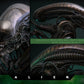 Hot Toys - Alien Movie Masterpiece - Big Chap