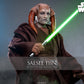 Hot Toys - Star Wars Episodio III: La Venganza de los Sith - Figura Saesee Tiin 1/6 Movie Masterpiece 31 cm