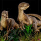 Iron Studios - Jurassic Park - Estatua 1/10 Art Scale Just The Two Raptors