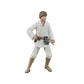 LUKE SKYWALKER FIG. 15 CM STAR WARS: A NEW HOPE THE BLACK SERIES