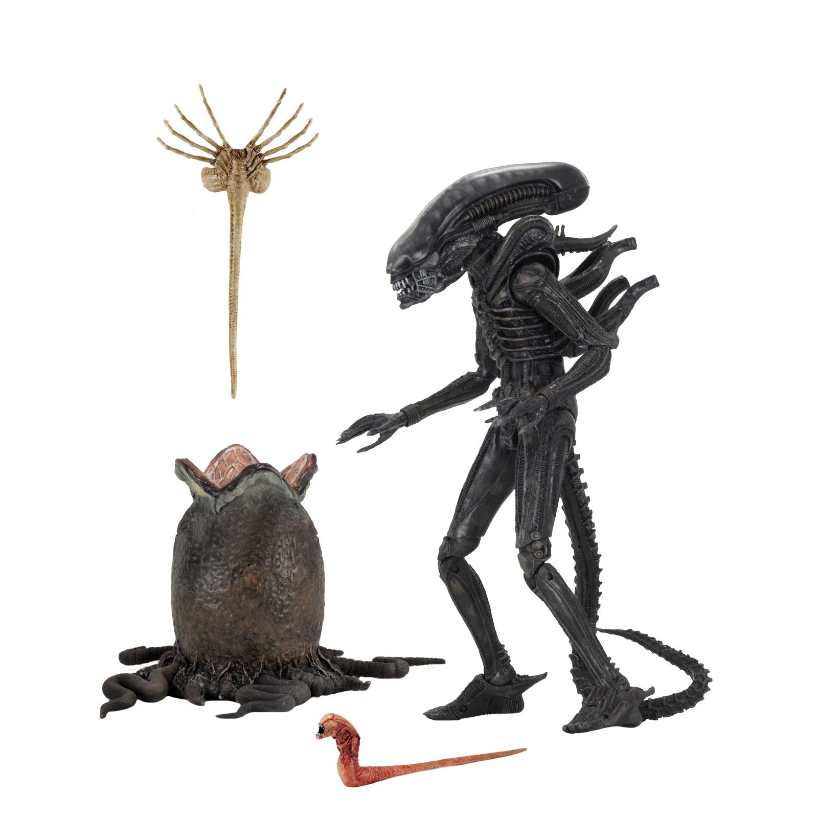 ULTIMATE BIG CHAP SCALE ACTION FIGURA 23 CM 40TH ANNIVERSARY ALIEN 1979 RE-RUN