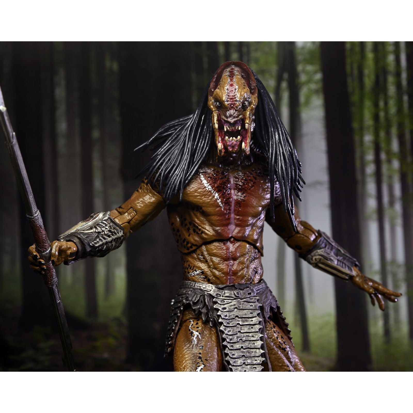  de PREDATOR - 
