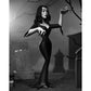 VAMPIRA SILVER SCREEN EDITION SCALE ACTION FIG. 15 CM VAMPIRA TOONY TERRORS