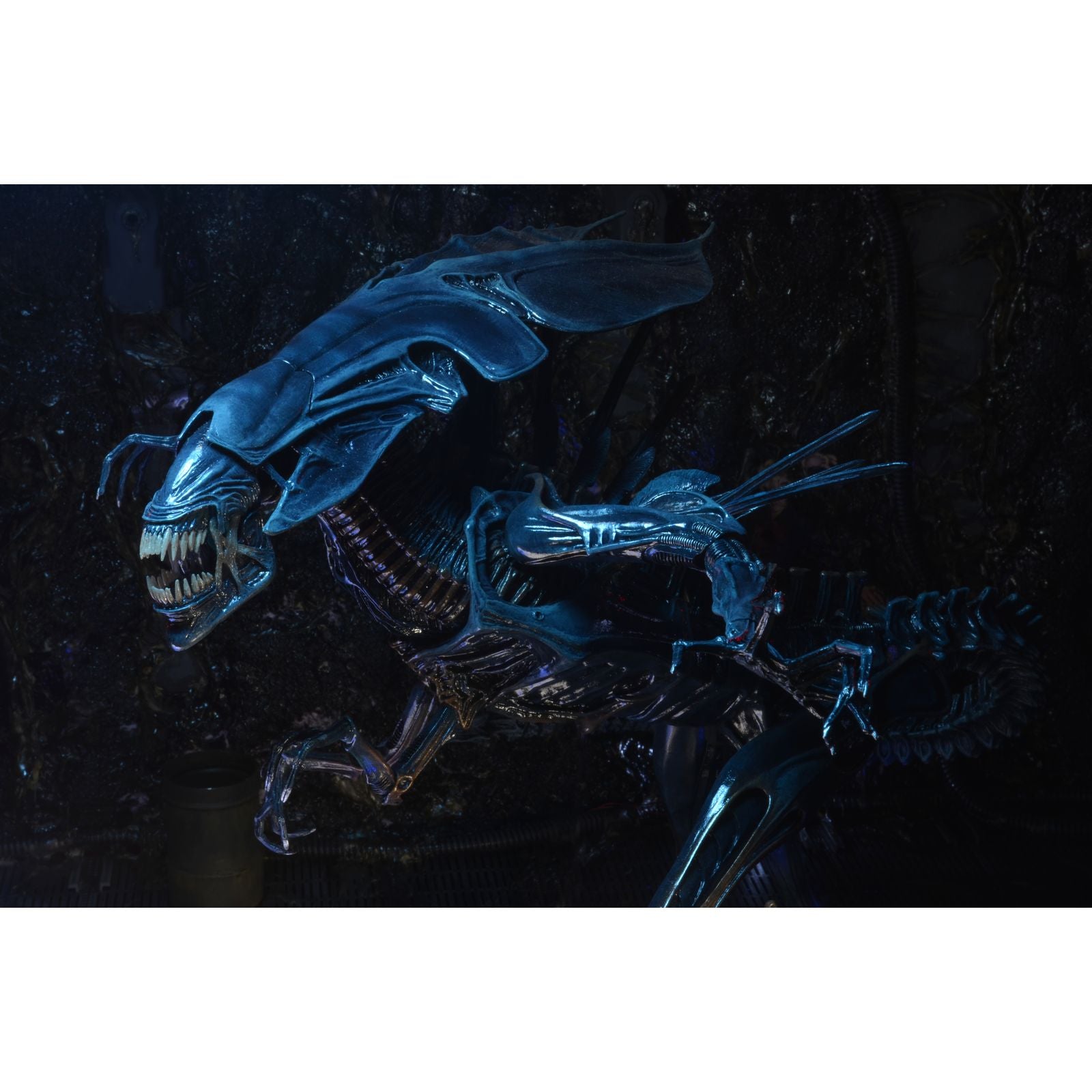 XENOMORPH QUEEN ULTRA DELUXE FIGURA 38 CM ALIENS 1986 RE-RUN
