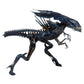 XENOMORPH QUEEN ULTRA DELUXE FIGURA 38 CM ALIENS 1986 RE-RUN