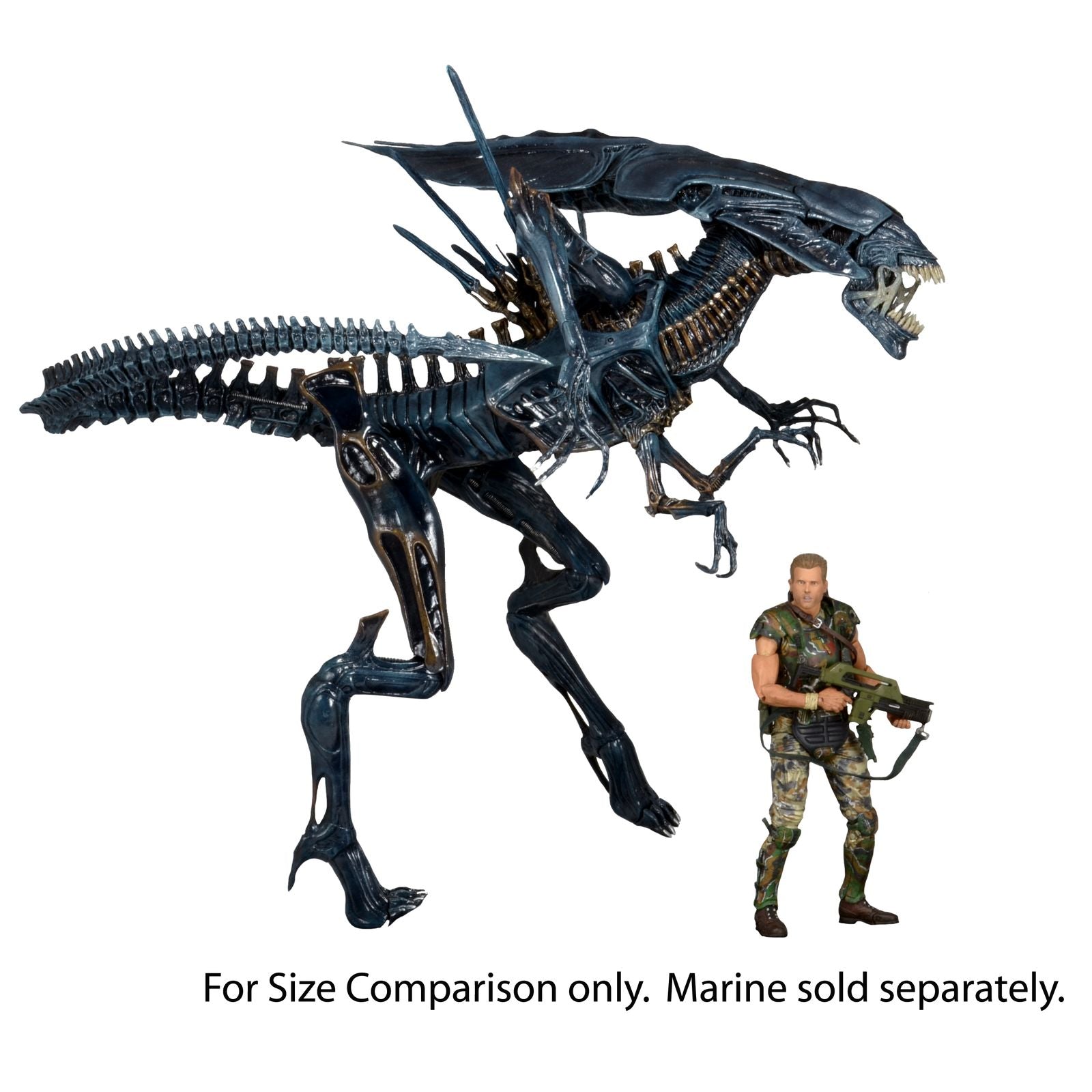 XENOMORPH QUEEN ULTRA DELUXE FIGURA 38 CM ALIENS 1986 RE-RUN