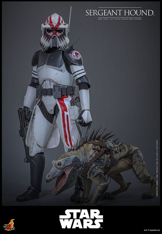 HOT TOYS - STAR WARS - Figura 1/6 Sergeant Hound 30 cm
