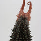 Ultraman Kaiju Remix Series Figura de Vinilo Twin Tail 33 cm