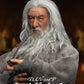 El Señor de los Anillos Figura Dynamic 8ction Heroes 1/9 Gandalf the Grey 21 cm