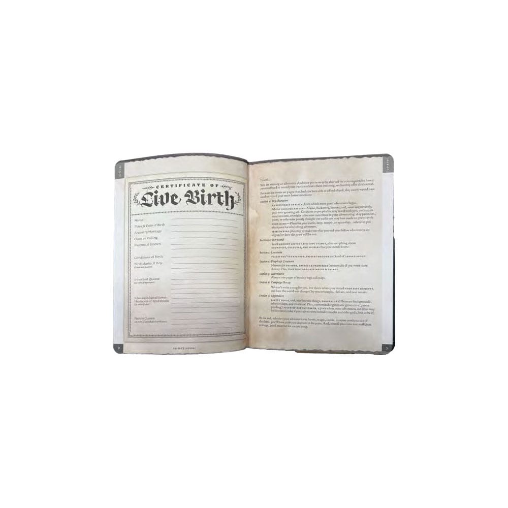 Libreta A5 Player's Journal - Z POP Toys