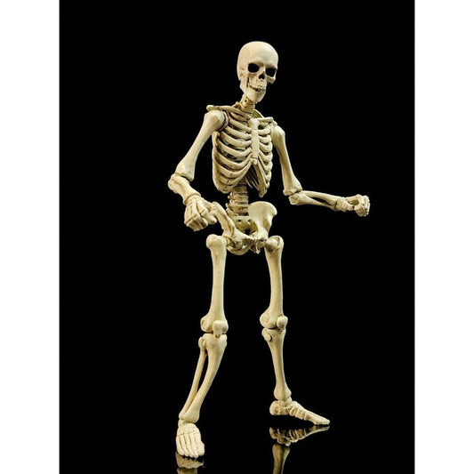 Epic H.A.C.K.S. Figura 1/12 Skeleton Blank Classic Bone