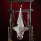 Tiburón Maqueta 1/12 Jaws 76 cm - Z POP Toys