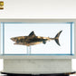 Tiburón Maqueta 1/18 Jaws Bronze 60 cm - Z POP Toys