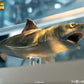 Tiburón Maqueta 1/18 Jaws Bronze 60 cm - Z POP Toys