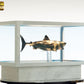 Tiburón Maqueta 1/18 Jaws Bronze 60 cm - Z POP Toys